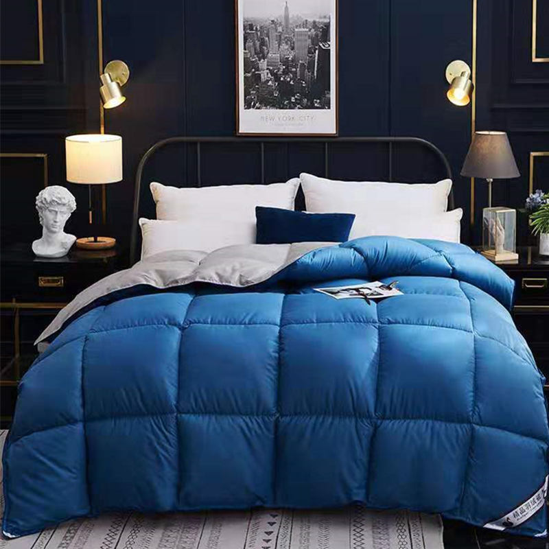 Down Duvet, Winter Duvet, Goose Down Duvet Core, Air Conditioner - iztia