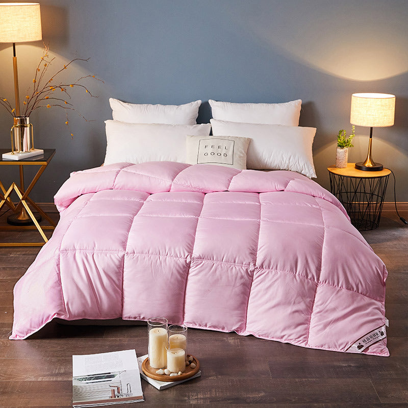 Down Duvet, Winter Duvet, Goose Down Duvet Core, Air Conditioner - iztia