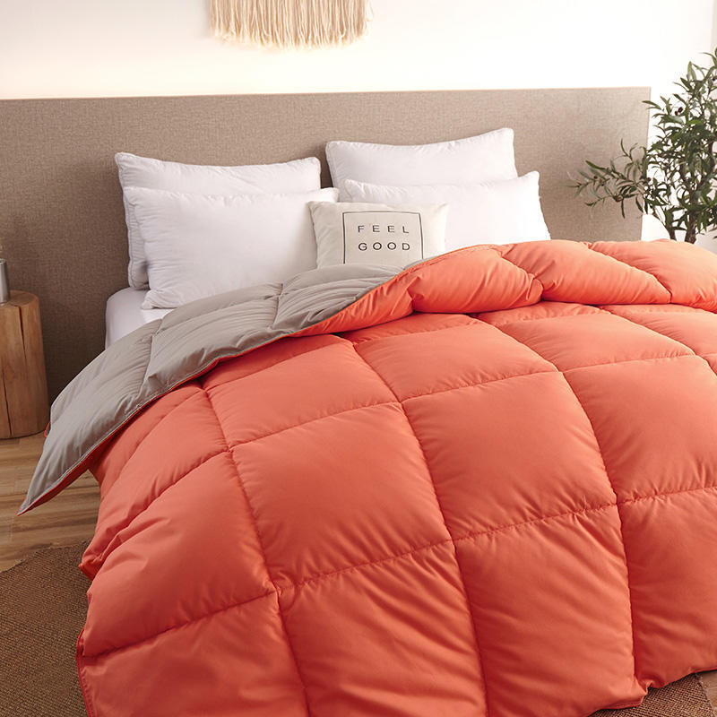 Down Duvet, Winter Duvet, Goose Down Duvet Core, Air Conditioner - iztia