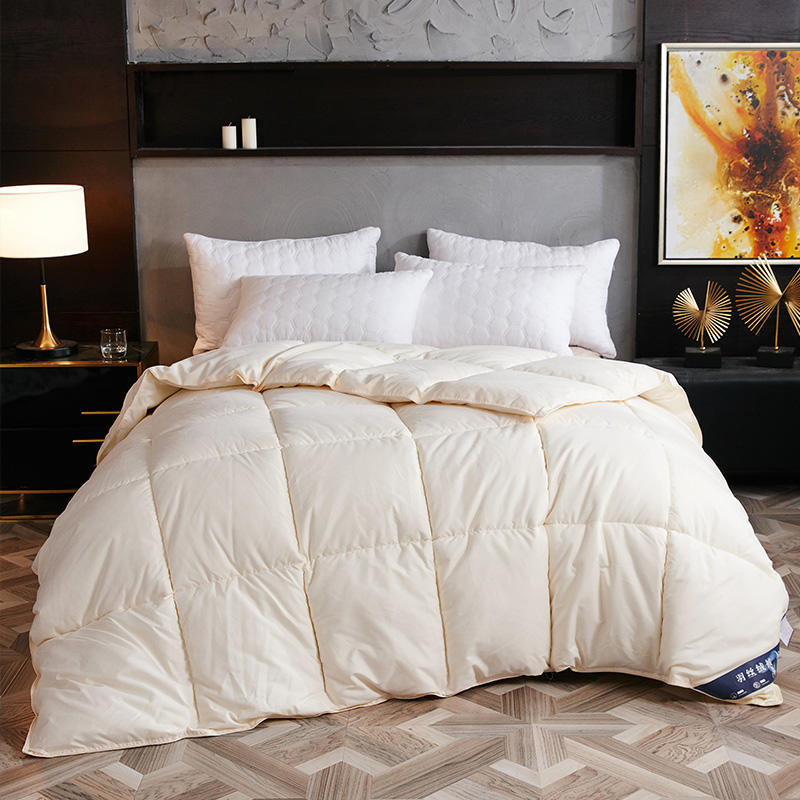 Down Duvet, Winter Duvet, Goose Down Duvet Core, Air Conditioner - iztia