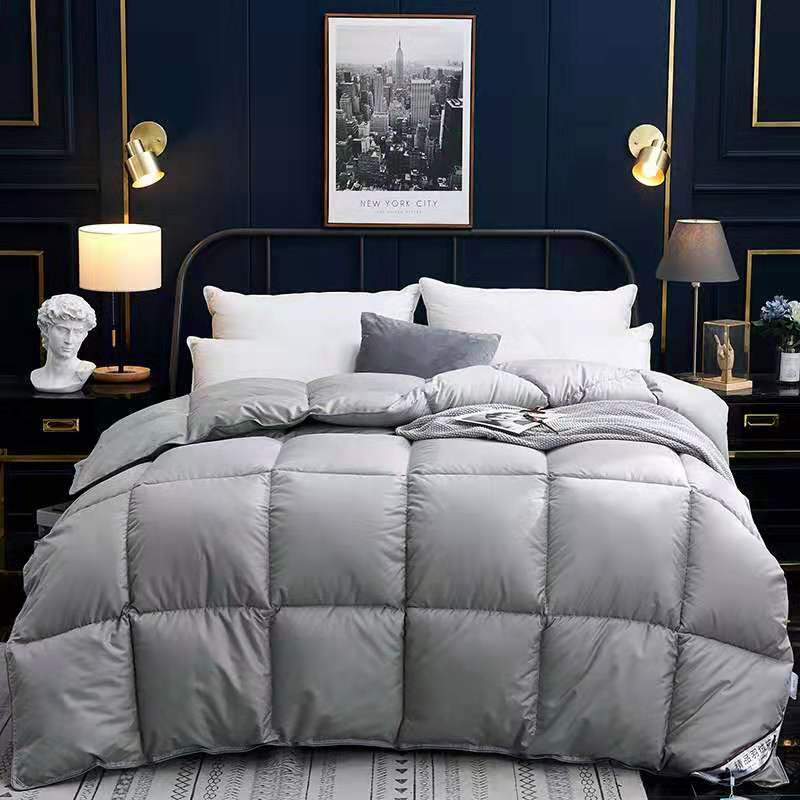 Down Duvet, Winter Duvet, Goose Down Duvet Core, Air Conditioner - iztia