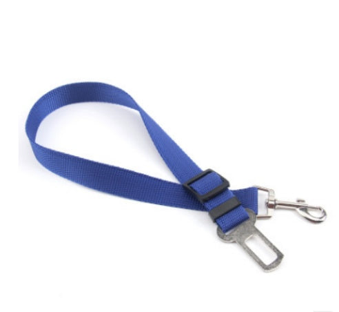 Fixed Strap Polyester Dog Strap Dog Leash Dog Leash - iztia