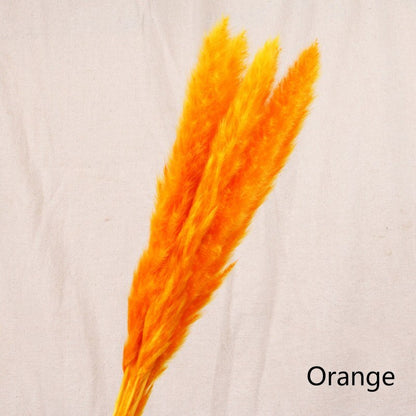 Reed dried flower home decoration - iztia