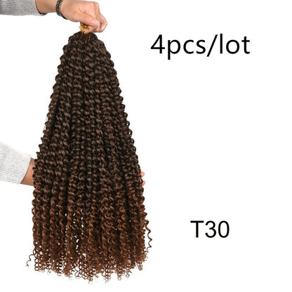 Passion Twist Crochet Braids Spring Twist Hair Extensions - iztia