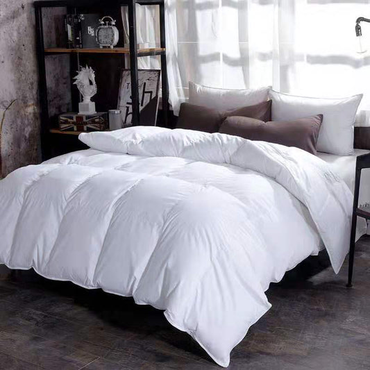 Down Duvet, Winter Duvet, Goose Down Duvet Core, Air Conditioner - iztia