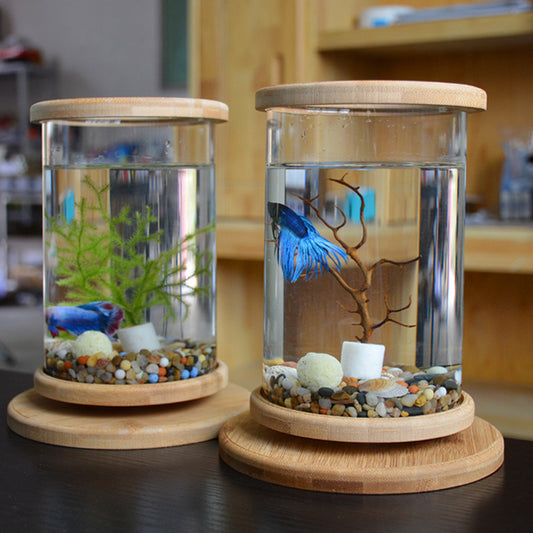 Small Office Glass Aquarium Bamboo Base Mini Fish Tank Decoration Fish Bowl - iztia