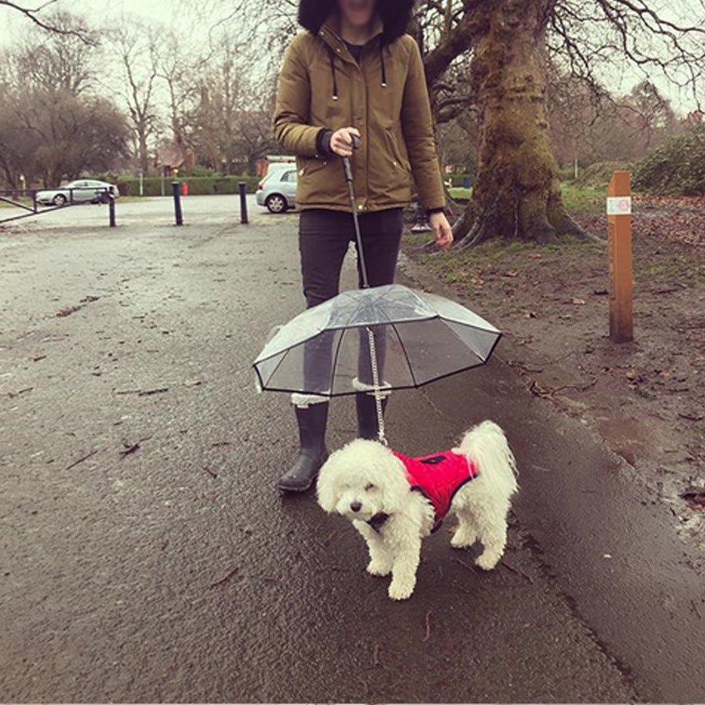 Transparent Pet Umbrella Dog Umbrella Pet Products - iztia