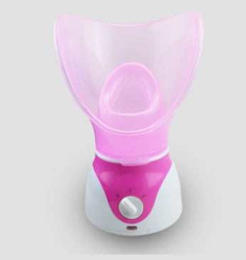 Hot-selling ion hot spray steamer Home steam beauty instrument - iztia