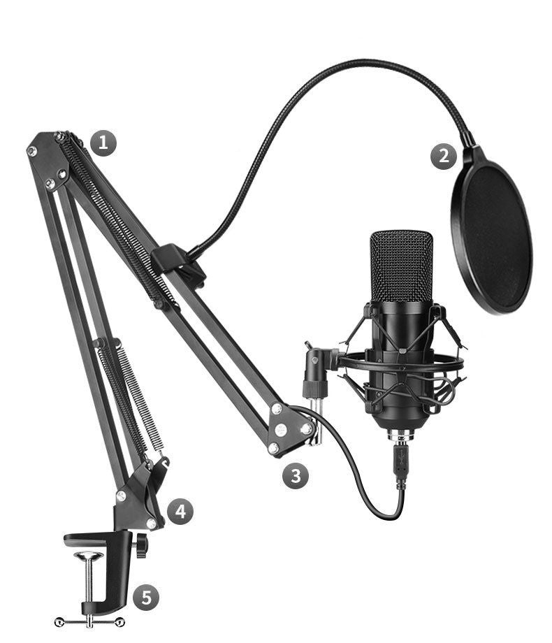 Microphone set - iztia