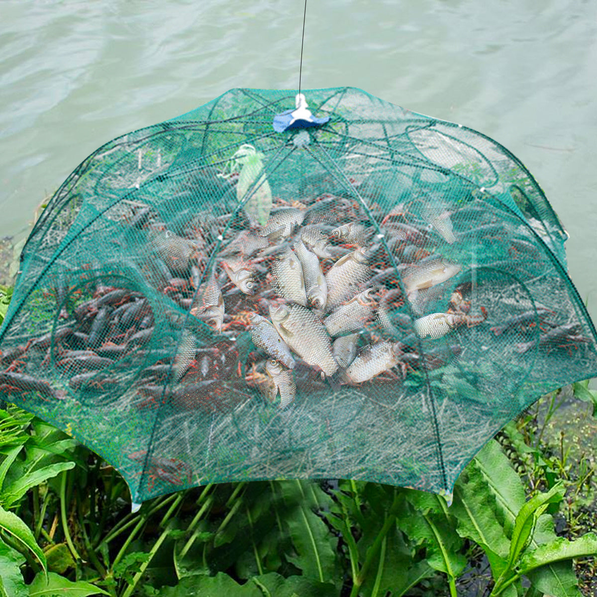 Strengthened 4-20 Holes Automatic Fishing Net Shrimp Cage Nylon Foldable Fish Trap Cast Net Cast Fold Crab Trap Fishing Network - iztia