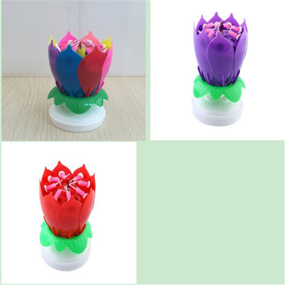 Amazing Lotus Candles - iztia