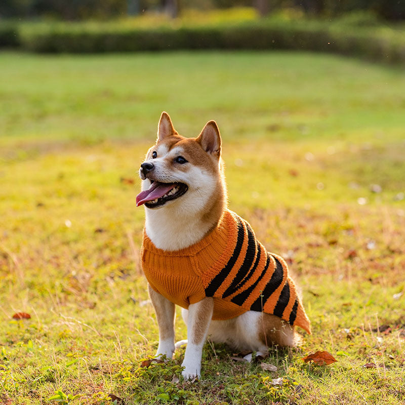 Halloween Dog Sweaters Pet Costume Teddy Warm Leisure Sweater Cosplay Clothes For Dogs Pets Outfits - iztia