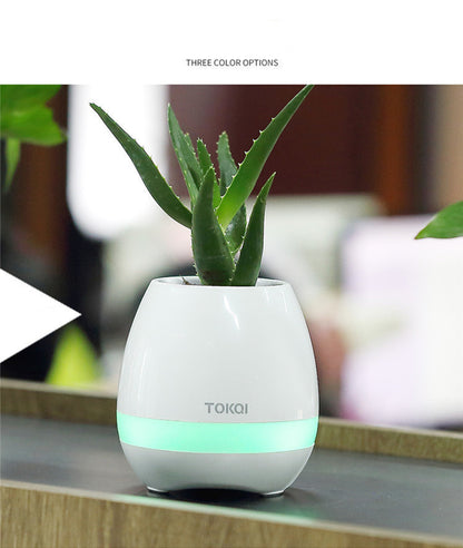 Touch-sensitive music vase desktop audio - iztia