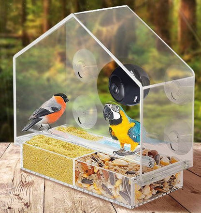 Bird Feeder Camera Live Bird Feeder Cam Bird Buddy Smart Bird Feeder With Camera - iztia