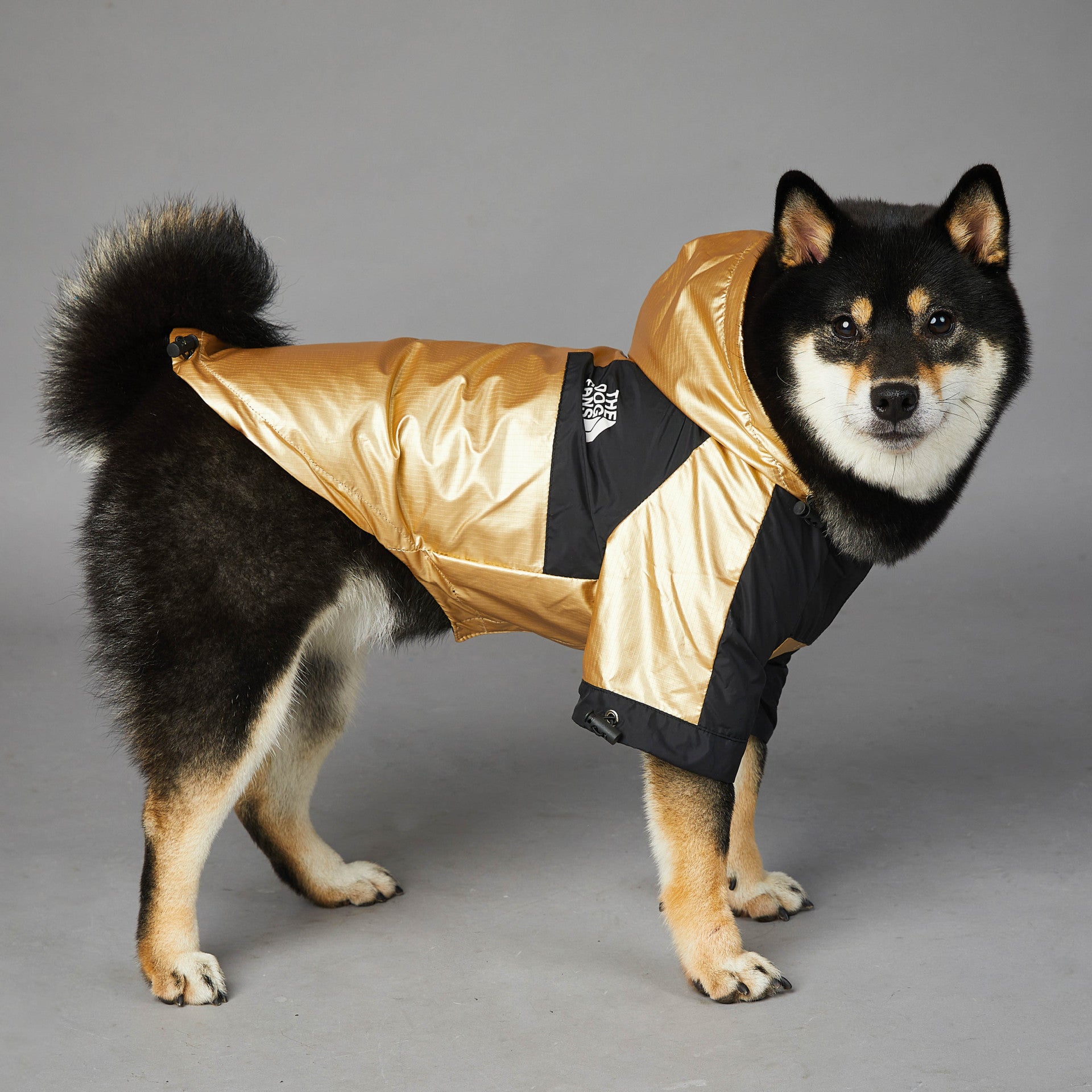 Dog Large Dog Raincoat Pet Jacket - iztia