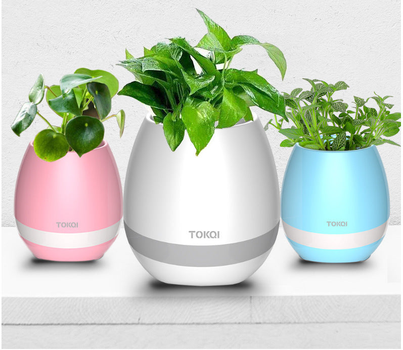 Touch-sensitive music vase desktop audio - iztia