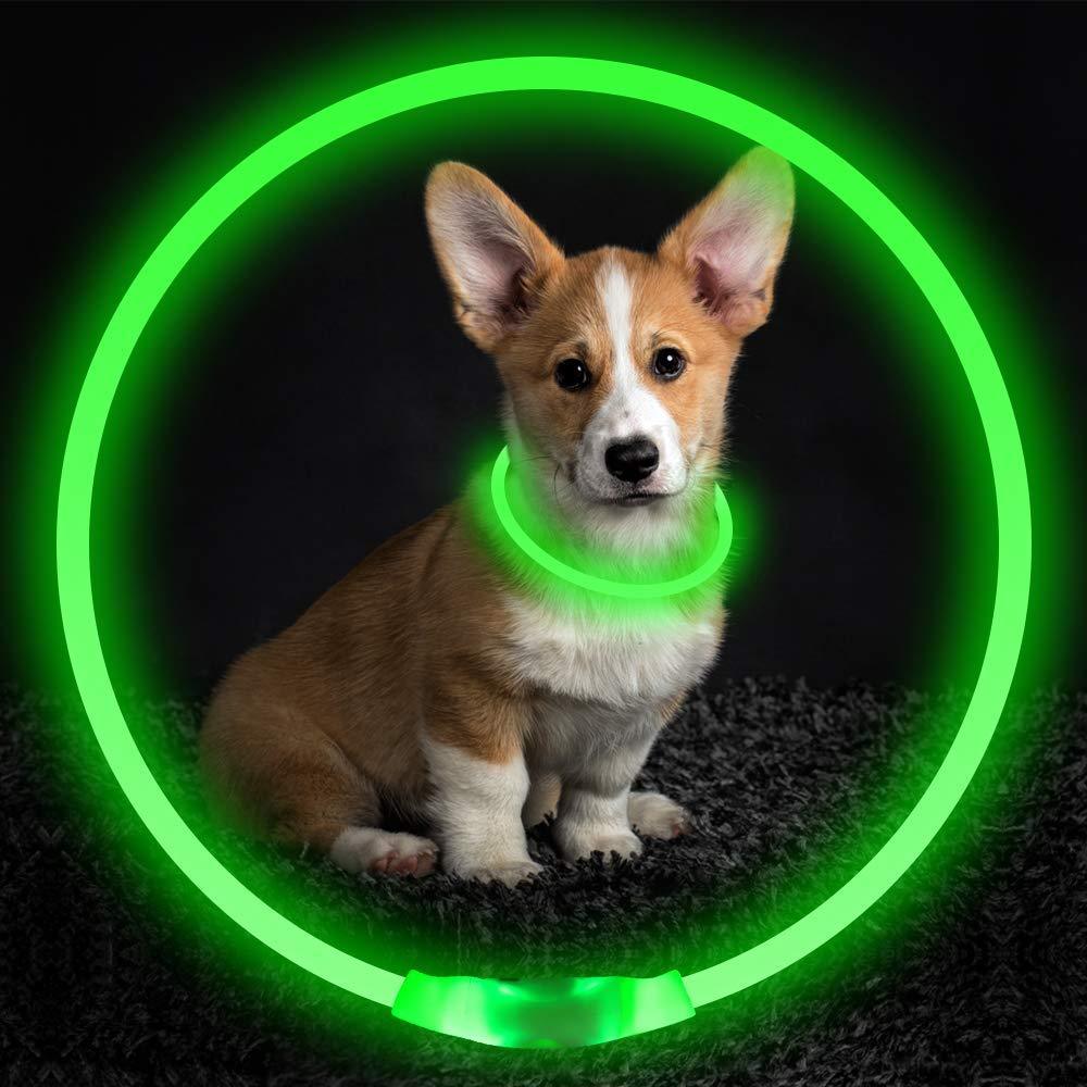 Pet Flashing Collar USB Rechargeable Glowing Necklace Safety Collar Light Up Collars For Night Walking Electric Dog Collar Neon - iztia