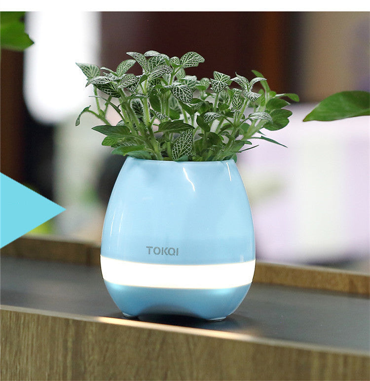 Touch-sensitive music vase desktop audio - iztia