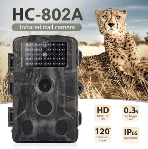 Wild hunting camera - iztia