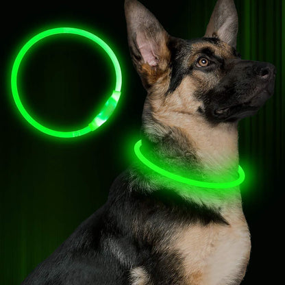 Pet Flashing Collar USB Rechargeable Glowing Necklace Safety Collar Light Up Collars For Night Walking Electric Dog Collar Neon - iztia